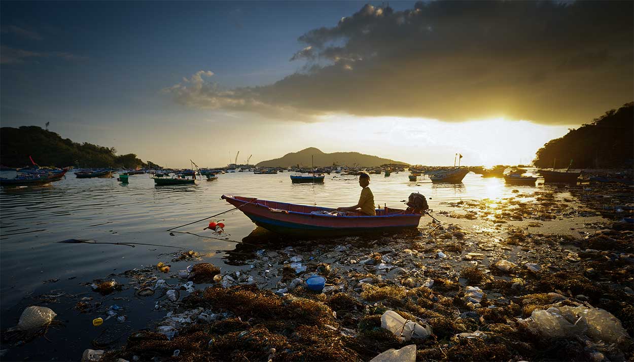 Das tote Korallenmeer